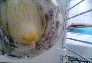 rezzez3.jpg rezzez3.jpg