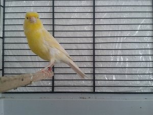 2013-06-30 16.01.18.jpg 2013-06-30 16.01.18.jpg