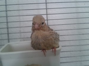 2013-06-28 13.05.47.jpg 2013-06-28 13.05.47.jpg