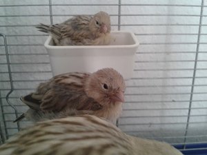 2013-06-28 13.01.32.jpg 2013-06-28 13.01.32.jpg