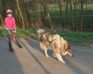 Rocky und Ruby Inliner.JPG