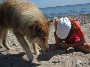 Rocky und Ruby Schatzsuche.JPG