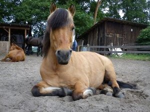 1373053095796.jpg 1373053095796.jpg