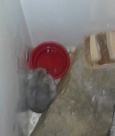 Bild 31.jpg Bild 31.jpg