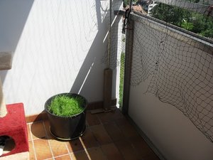 SDC11134.JPG SDC11134.JPG