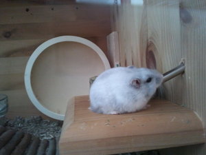 2013-07-07 10.47.25.jpg