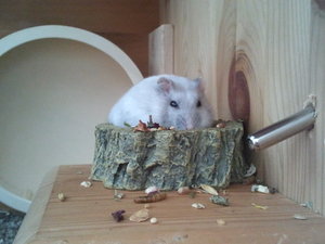 2013-07-07 10.58.52.jpg