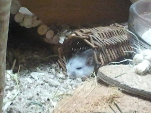 2013-07-20 00.29.14.jpg