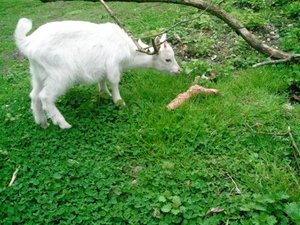 20130428_132545 (640x480).jpg