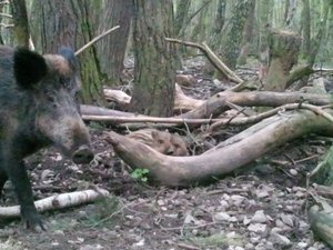 20130428_141227 (640x480).jpg