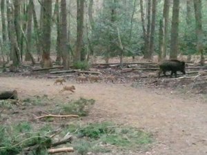 20130428_141536 (640x480).jpg