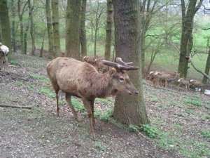 20130428_144016 (640x480).jpg