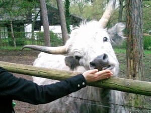 20130428_150739 (640x479).jpg