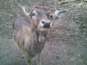 20130428_160212 (640x480).jpg