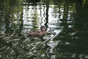 IMG_2115 (640x427).jpg