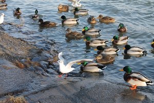 IMG_3027 (640x427).jpg