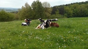 PHOTO_20130511_101416 (640x360).jpg