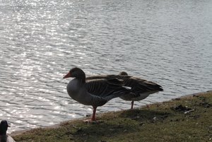 IMG_4354 (640x427) (640x427).jpg