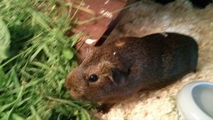 PHOTO_20130721_210943 (800x450).jpg PHOTO_20130721_210943 (800x450).jpg