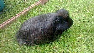 294209_661656033860866_364123112_n.jpg 294209_661656033860866_364123112_n.jpg