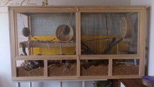 DSC_4773.jpg DSC_4773.jpg