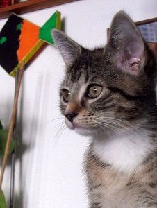 SDC10607.JPG SDC10607.JPG