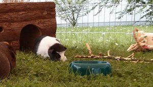 PHOTO_20130509_151303 (800x451).jpg PHOTO_20130509_151303 (800x451).jpg