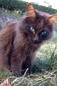 sadsdasad.jpg sadsdasad.jpg