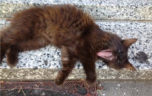 hjhjhjhj.jpg hjhjhjhj.jpg