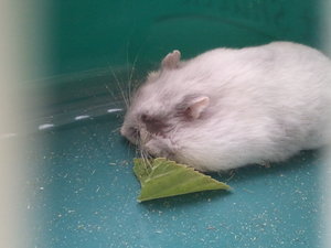 2013-07-22 21.01.39.jpg