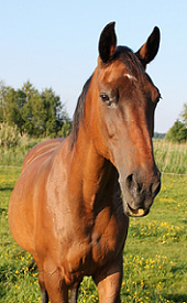 aaaaaaaaaaaaaaaaaaaaaaaaaaaa.png aaaaaaaaaaaaaaaaaaaaaaaaaaaa.png