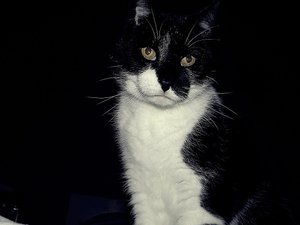 4ikrzx8h.jpg 4ikrzx8h.jpg