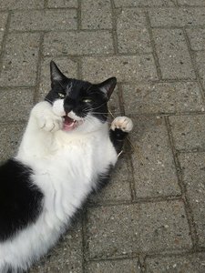 391473_362294550513214_983897331_n.jpg 391473_362294550513214_983897331_n.jpg