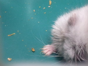 2013-07-24 01.06.33.jpg