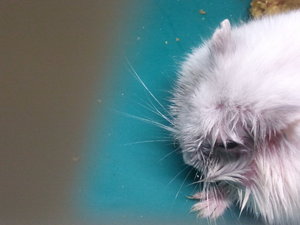 2013-07-24 01.07.26.jpg