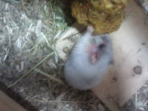 2013-07-24 15.21.53.jpg