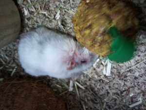 2013-07-24 15.24.44.jpg