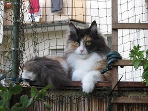 IMG_0368.JPG IMG_0368.JPG