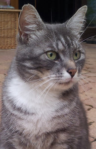 Mellow_Profilbild.jpg Mellow_Profilbild.jpg