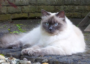 Kimbee_Profilbild.jpg Kimbee_Profilbild.jpg