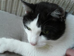 P1090740_635x476.jpg P1090740_635x476.jpg