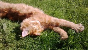 602387_665458926813910_1314205204_n.jpg 602387_665458926813910_1314205204_n.jpg