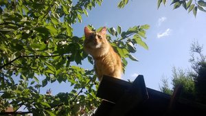 969001_691653094194493_1812988698_n.jpg 969001_691653094194493_1812988698_n.jpg