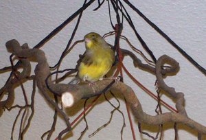 101_4370.jpg 101_4370.jpg