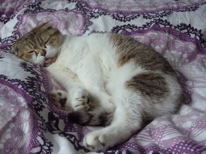 P1040136.JPG P1040136.JPG