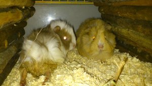 DSC_2455 (640x360).jpg DSC_2455 (640x360).jpg