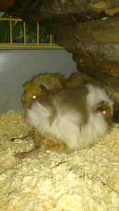 DSC_2456 (360x640).jpg DSC_2456 (360x640).jpg