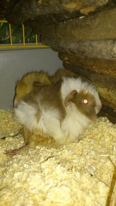 DSC_2457 (360x640).jpg DSC_2457 (360x640).jpg