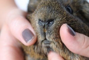 IMG_5225 (640x427).jpg