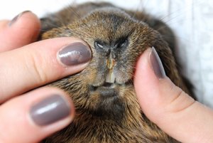 IMG_5226 (640x427).jpg